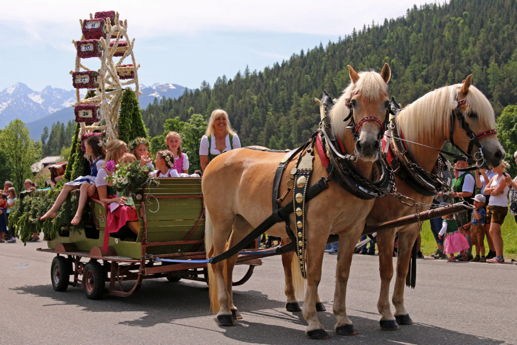 Ferchtlhof Ramsau Bildergalerie Fruehlingsfest