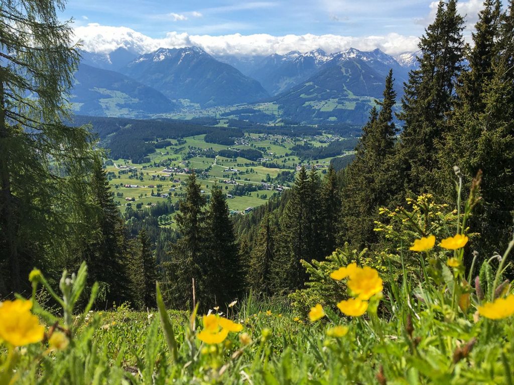 Sommerurlaub in Ramsau am Dachstein, Ferchtlhof