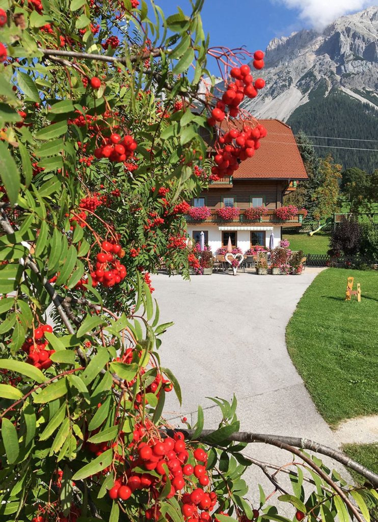 Sommerurlaub in Ramsau am Dachstein, Ferchtlhof