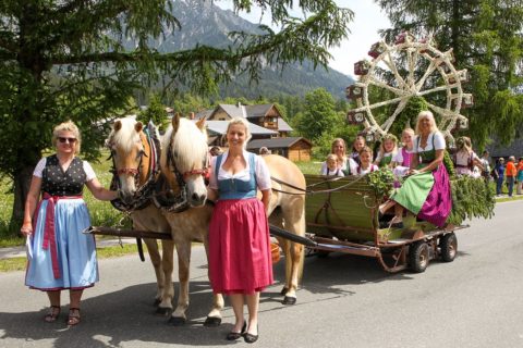 Hofeigene Haflingerzucht, Urlaub am Bauernhof in Ramsau am Dachstein