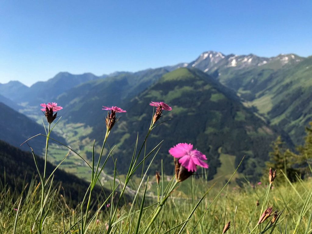 Sommerurlaub am Ferchtlhof in Ramsau, Dachstein